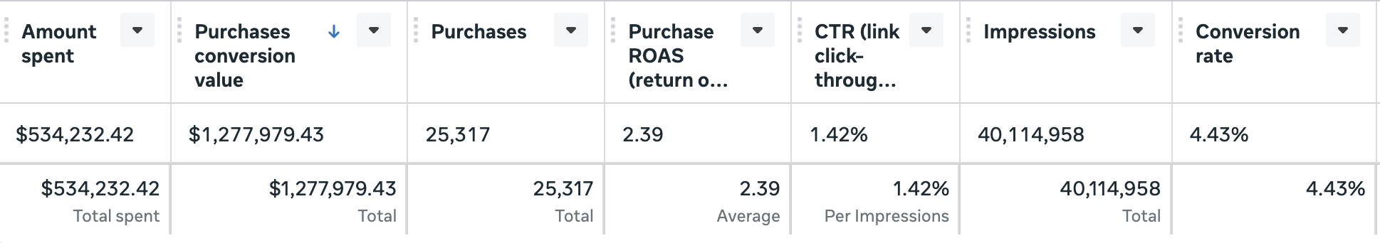 $1.2M in Revenue from Meta Ads in Their First Year results